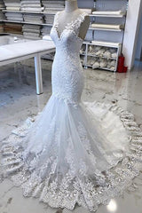 Wedding Dress And Veil, Luxury V Neck Lace Tulle Mermaid Wedding Dresses with Appliques
