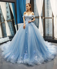 Bridesmaids Dress Champagne, Blue Off Shoulder Tulle Lace Long Prom Gown Blue Evening Dress