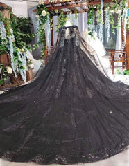 Dress Aesthetic, Top View Designer Shimmery Black Ball Gown Custom Made Bridal Occasion And Party Wear