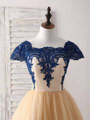Plu Size Wedding Dress, Champagne Tulle Lace Applique Short Prom Dress, Bridesmaid Dress