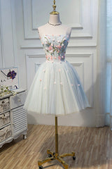 Prom Dress Trends For The Season, Cute Tulle Short Prom Dress with Lace, A-Line Homecoming Party Dress
