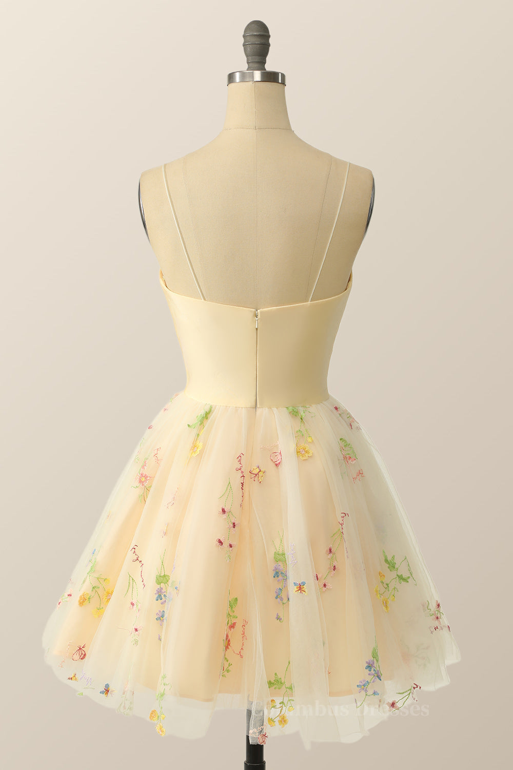 Prom Dress Blush, Empire Champagne Floral A-line Party Dress