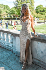 Lace Dress, Light champagne sequin prom dresses, evening dresses,party dresses, sexy formal dress