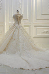 Wedding Dress Back, Luxurious Ball Gown Long Sleevess Lace Applqiues Beadings Wedding Dress