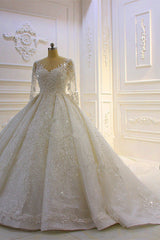 Wedding Dress Budget, Sparkle 3D Lace Appliques Long Sleevess Church Train Wedding Dress