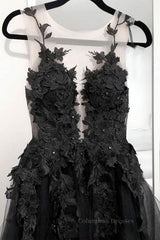 Evening Dresses Gown, V Neck Open Back Black Tulle Lace Floral Long Prom Dresses, Black Lace Formal Evening Dresses with Appliques